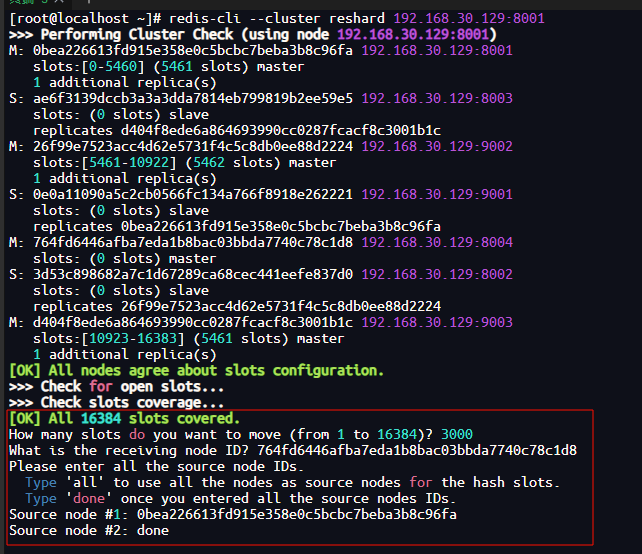 image-20250912155240468